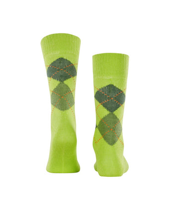 Preston heren sokken | Groen