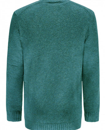 Alan Paine Shetland Pullover Ronde Hals | Groen