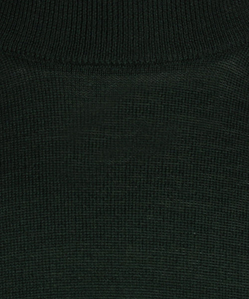 Turtle trui Merino wol | Groen