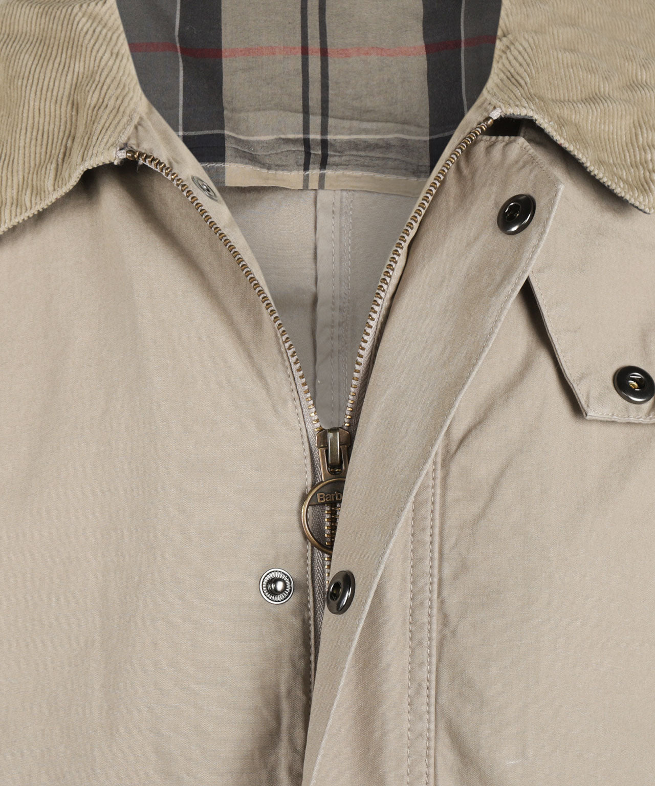 Jack Ashby Freizeitkleidung | Beige