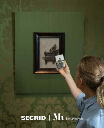 Secrid Mini Wallet Art Collection | Puttertje Fabritius