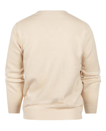 Pullover v-hals lamswol *Sale* | Beige