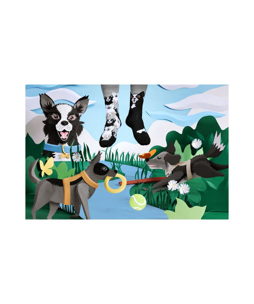 Print cotton mix men's socks | Design