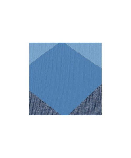 Clyde men's socks | Blue