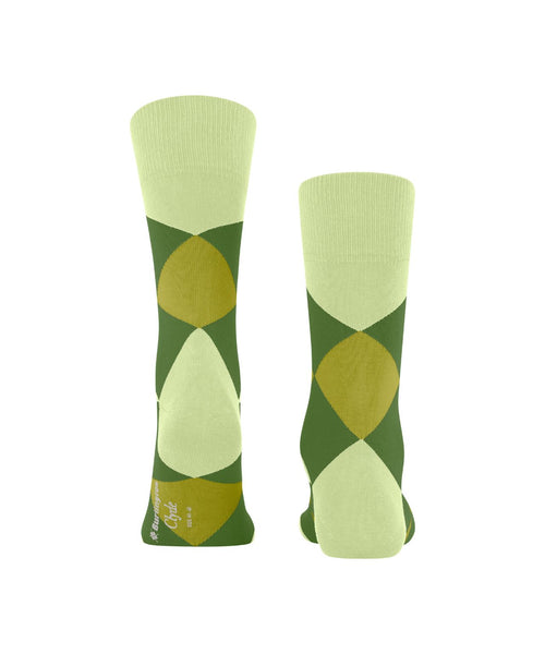 Clyde men's socks | Green