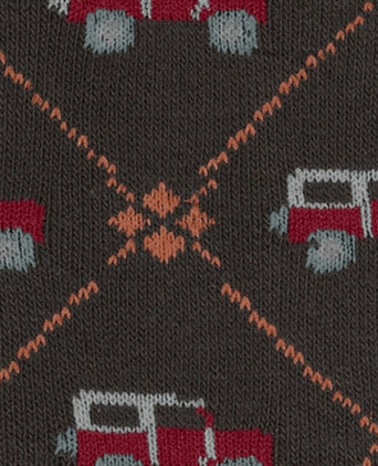 Burlington Car Heren Sokken | Bruin