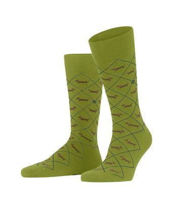 Burlington Dachshund Men's Socks | Green