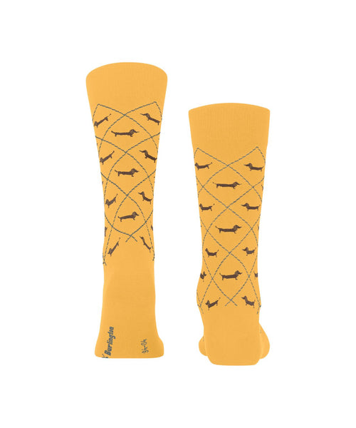 Burlington Dachshund Men's Socks | Yellow