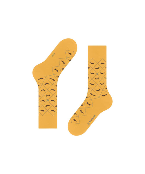 Burlington Dachshund Men's Socks | Yellow