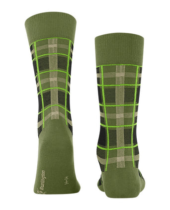 Burlington Heritage Check | Green