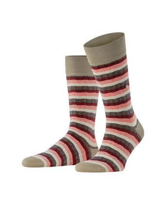 Burlington Signature Stripe | Brown