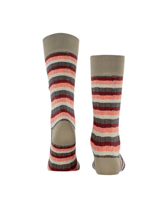 Burlington Signature Stripe | Brown