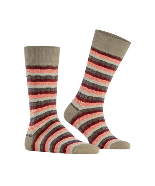 Burlington Signature Stripe | Brown