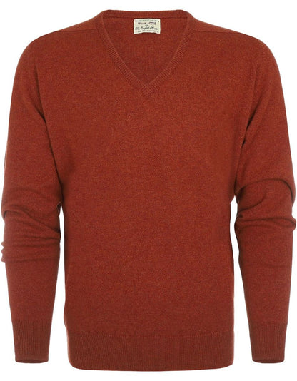 Pullover mit V-Ausschnitt aus Lammwolle *Sale* | Tiger