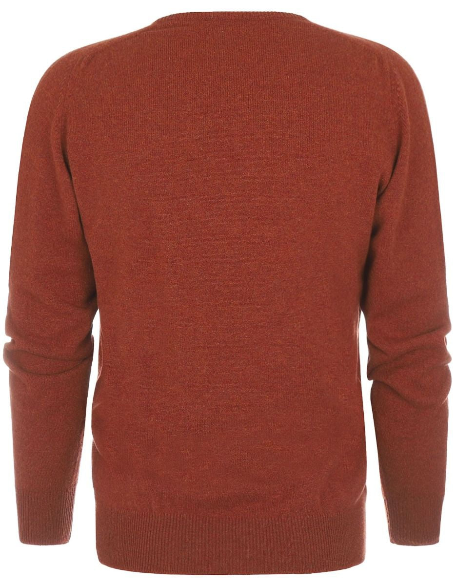 Pullover mit V-Ausschnitt aus Lammwolle *Sale* | Tiger