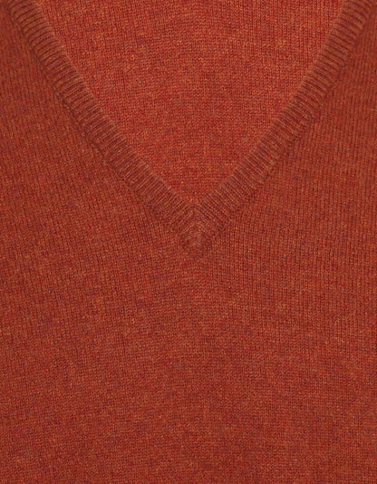 Pullover mit V-Ausschnitt aus Lammwolle *Sale* | Tiger