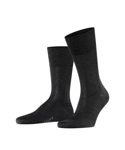 Tiago Herrensocken | Grau