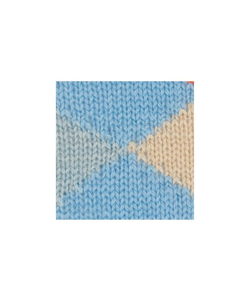 Preston men's socks | Blue