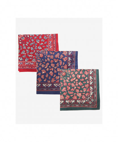 Zakdoek | Paisley Hankies