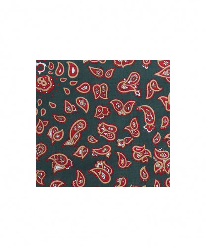 Zakdoek | Paisley Hankies