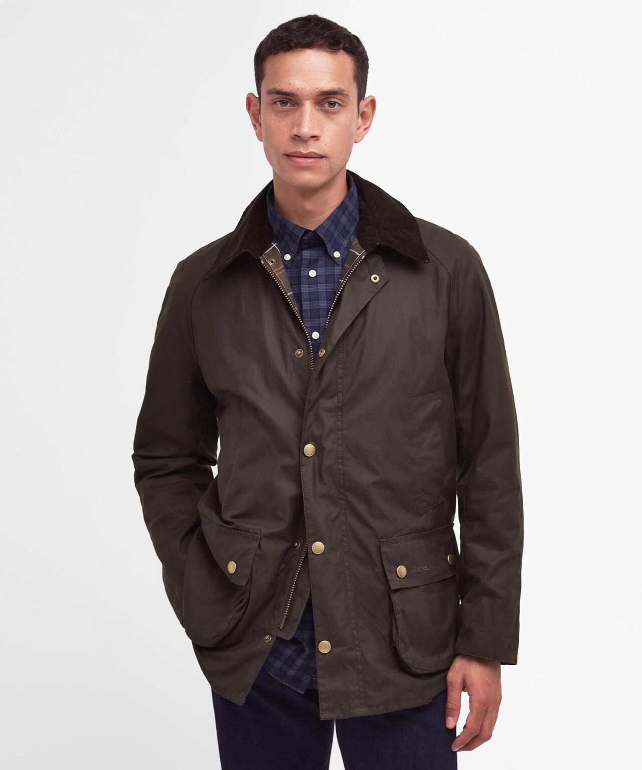 Wachsjacke Ashby | Oliv