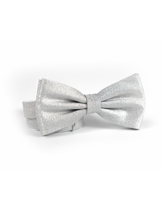 Festliche Schleife | Silber