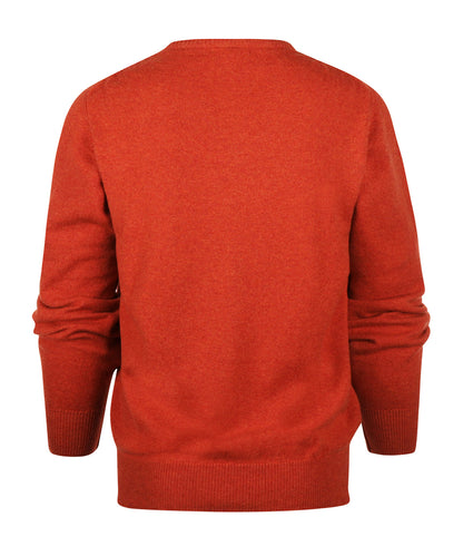 Pullover Lambswool dutch fit v-neck | Brown
