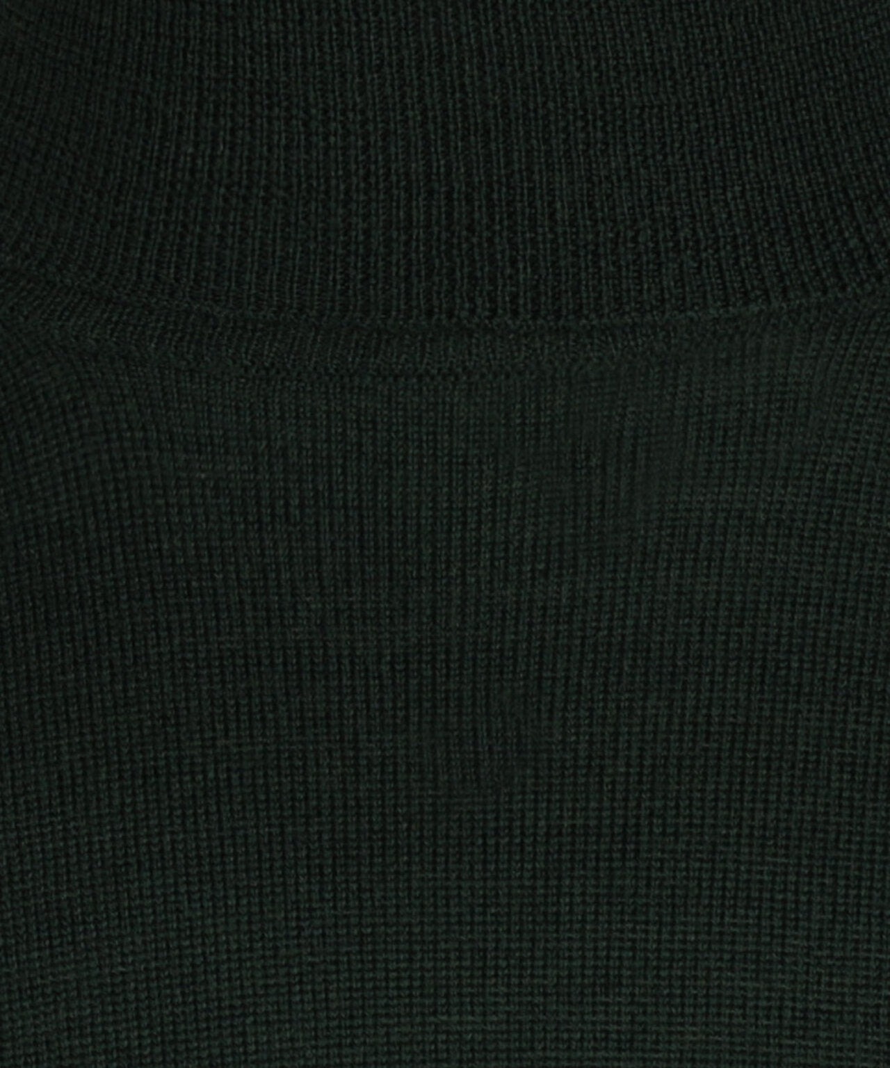 Turtleneck Merino wool | Green