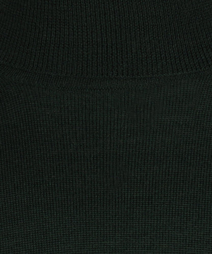 Turtleneck Merino wool | Green