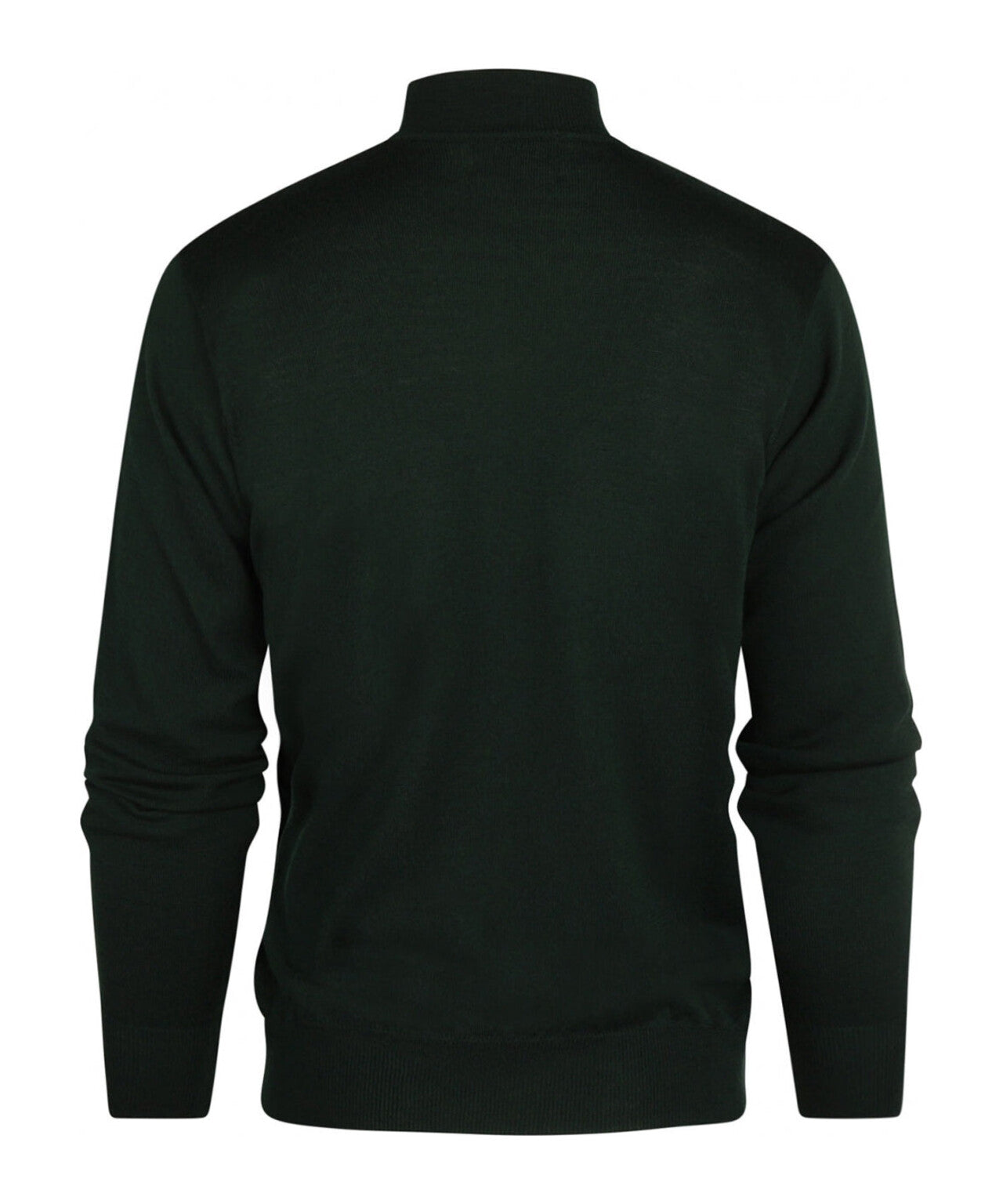 Turtle sweater Merino wool | Green