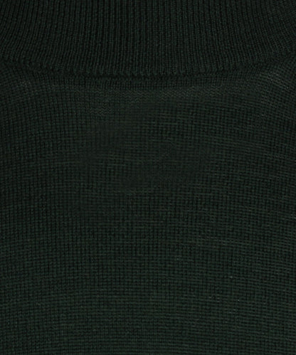 Turtle sweater Merino wool | Green