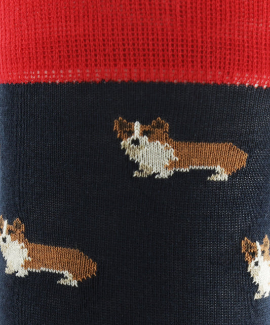 Herrensocken aus Baumwolle | Marineblau
