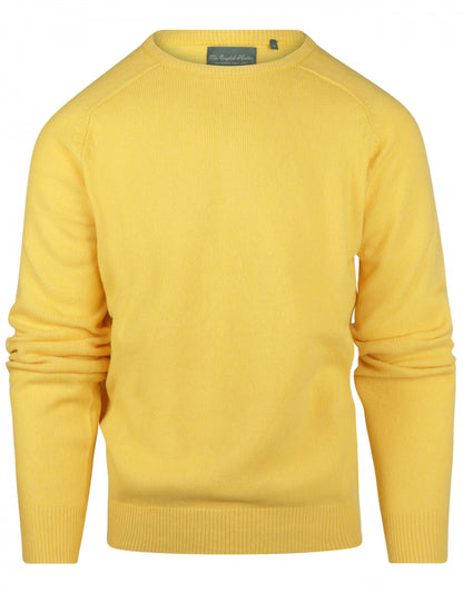 Pullover Lambswool round neck | Yellow
