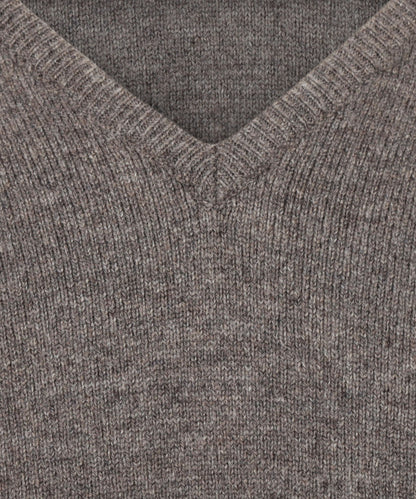 Pullover mit V-Ausschnitt aus Lammwolle *Sale* | Birch