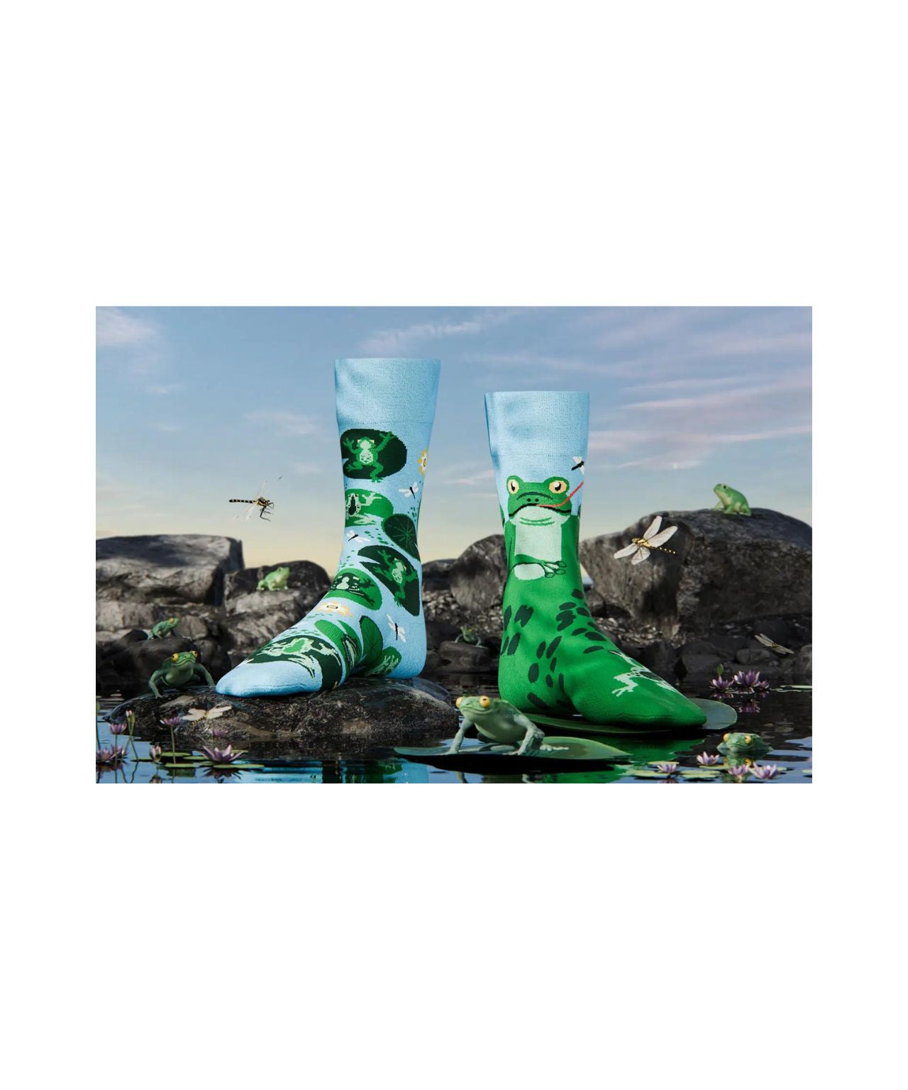 Sokken Katoenmix | Froggy Frog