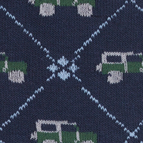 Burlington Car Men's Socks | Blue