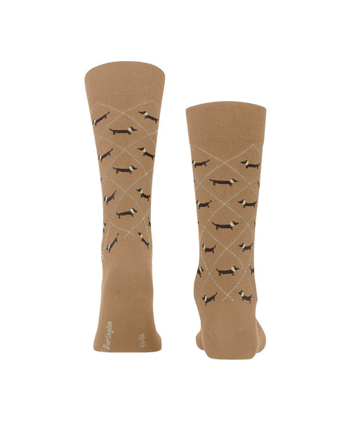 Burlington Dachshund Men's Socks | Brown