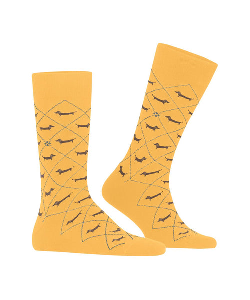 Burlington Dachshund Men's Socks | Yellow