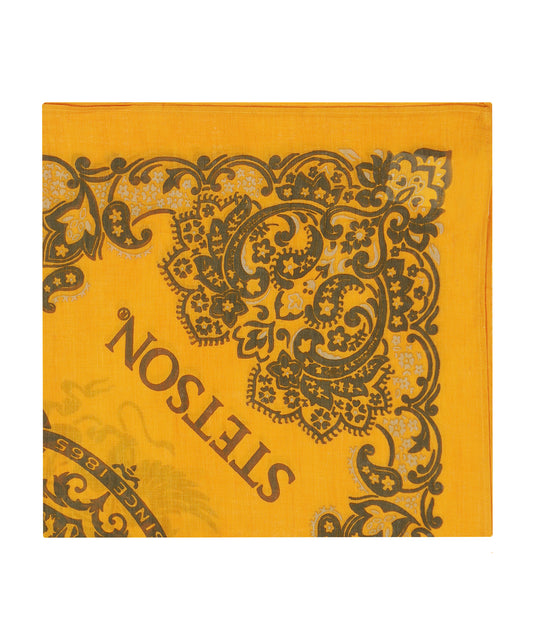 Bandana aus Baumwolle | Orange