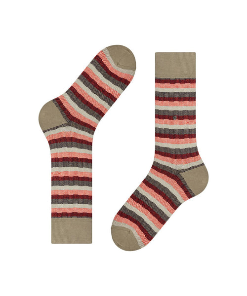 Burlington Signature Stripe | Brown