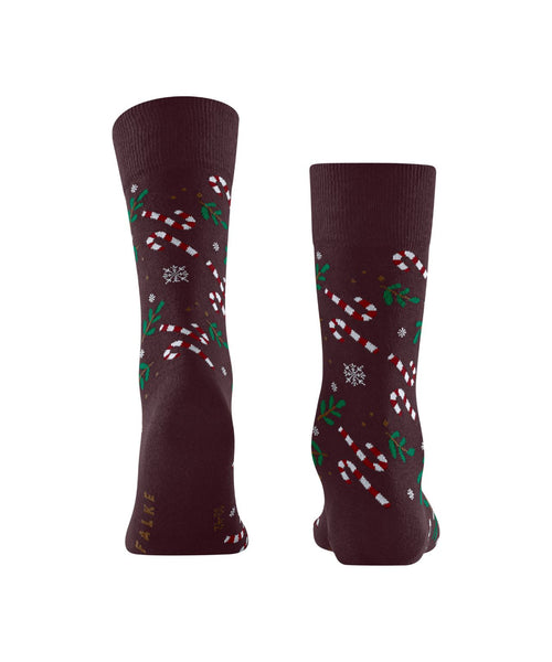 Falke Blizzard Socks | Red