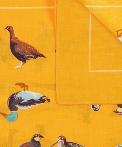 Taschentuchvögel | Orange